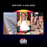 9AM GMT: Onion shortage looms, Minority alarmed over affordable housing initiative & more - Daily Beat